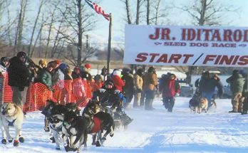 Junior Iditarod (c) Iditarod-Race.de