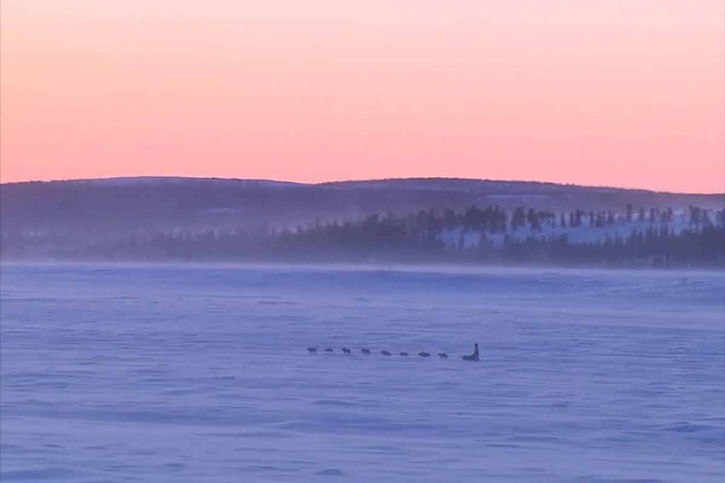 Iditarod Team (c)