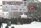 Zeremonieller Start des Iditarod 2026