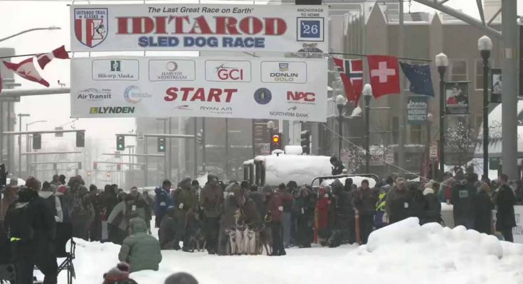 Iditarod 2026 (c) Iditarod