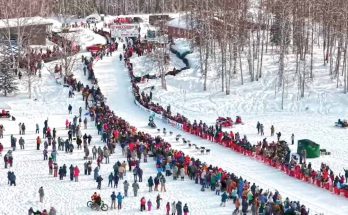Iditarod ReStart (c) Iditarod